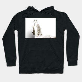 White Arabian Horse Hoodie